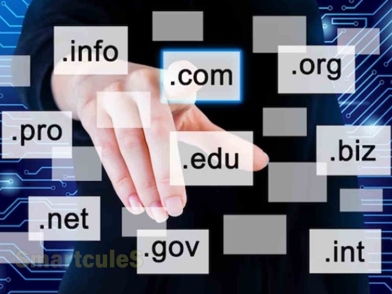 Free Domain Name Search